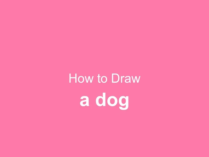 How to Draw a Dog
