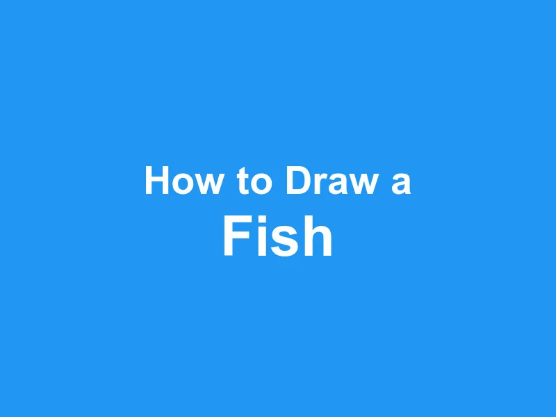 How to Draw a Fish - From Simple to Realistic