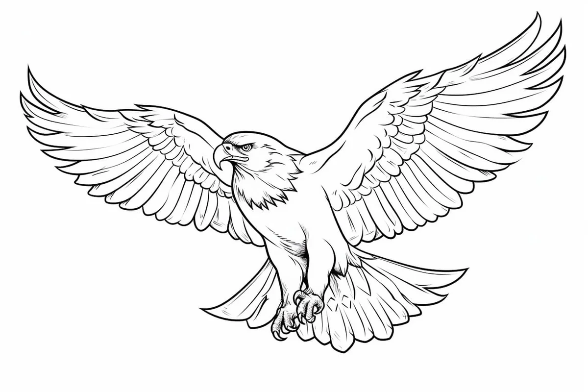 How to Draw a Hawk in 7 Simple Steps