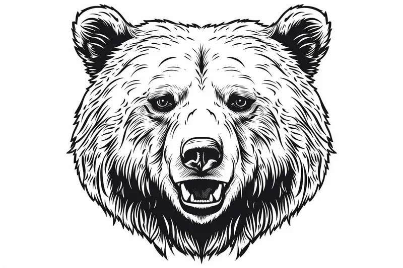How to Draw a Bear Face