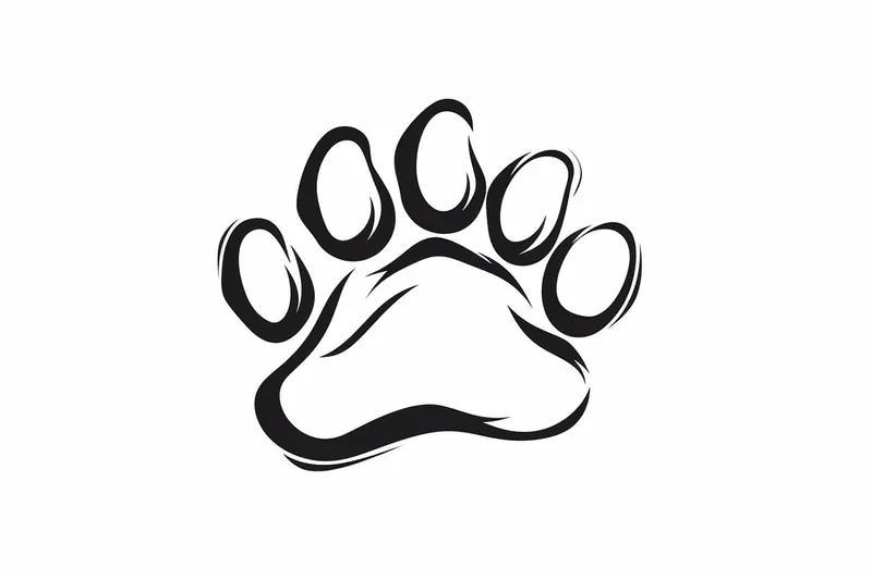 How to Draw a Dog Paw