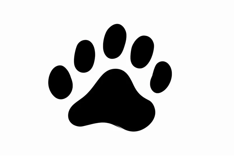 How to Draw a Paw Print