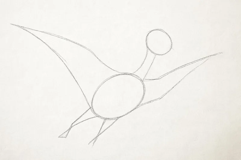 How to Draw a Pterodactyl - Step 1