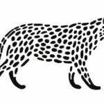 How to draw Cheetah print