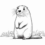 How to draw a groundhog