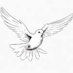 how to draw a dove