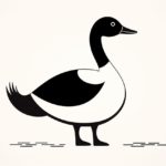 How to draw a goose