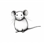 how to draw a mouse