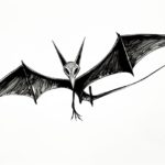 how to draw a pterodactyl