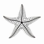How to draw a starfish