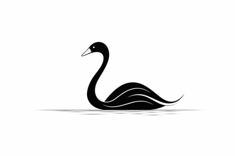 how to draw a swan