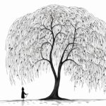 how to draw a willow tree