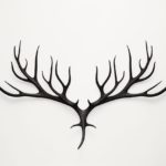 How to draw Antlers