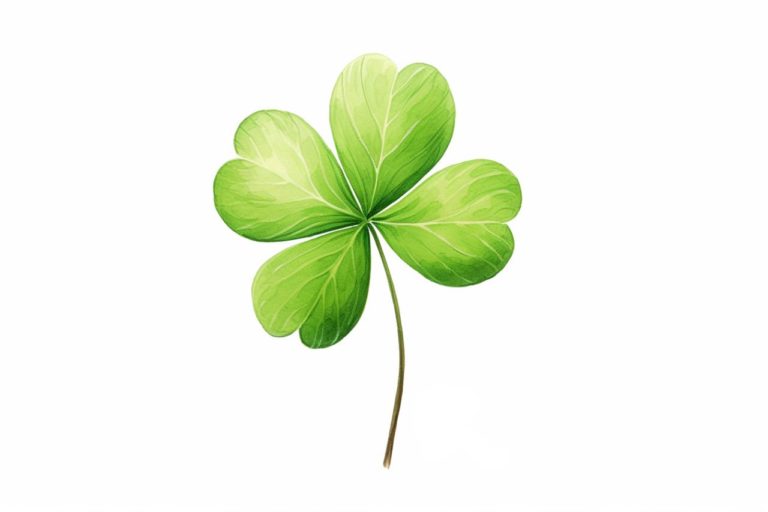 How to draw a four-leaf clover