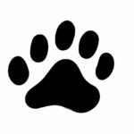 How to draw a paw print