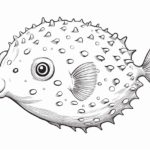 How to draw a pufferfish