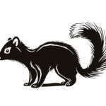 How to draw a skunk
