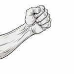 how to draw an arm muscle