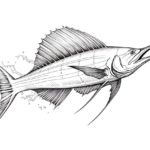 How to draw a sailfish