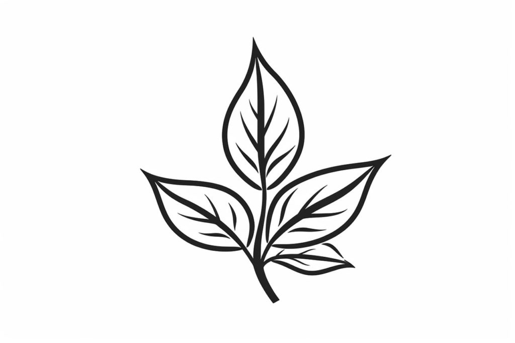 simple leaf drawing