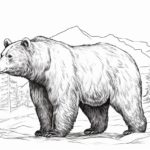 How to draw a black bear