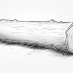 how to draw a log