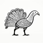 How to draw a turkey