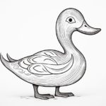 How to Draw a Wood Duck
