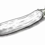 How to draw a Zucchini