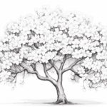How to draw a blossom tree