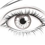 how to draw a cartoon eye