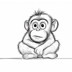 How to draw a cartoon monkey