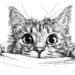 how to draw a crazy cat