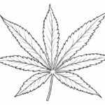 How to Draw a Marijuana Leaf