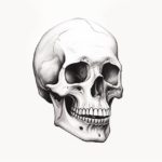How to Draw a Skeleton Face