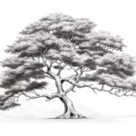 How to Draw a Detailed Tree