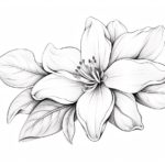 How to Draw a Flower Petal