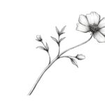 how to draw a flower stem