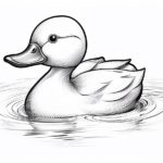 How to Draw a Rubber Ducky