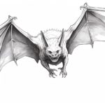 How to Draw a Vampire Bat