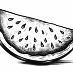 How to Draw a Watermelon Slice