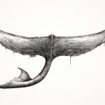How to Draw a Whale Tail