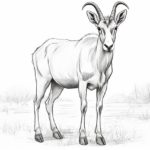 how to draw a saiga antelope