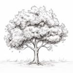 How to Draw an Apple Tree