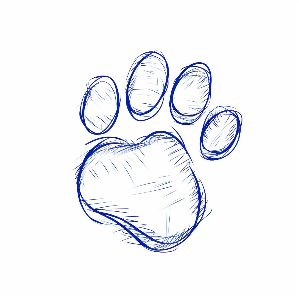 cat paw